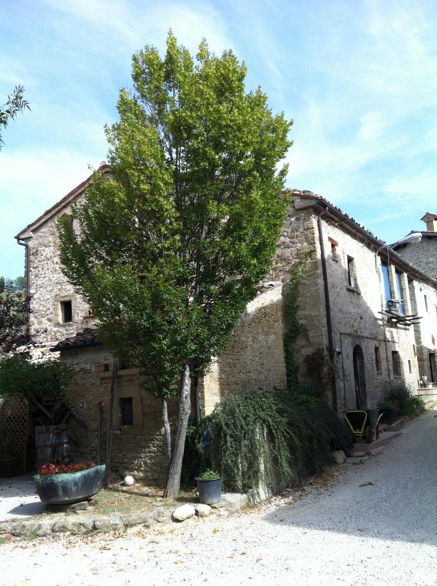 La Cittadella Dei Monti Sibillini Guest House Montemonaco Bagian luar foto