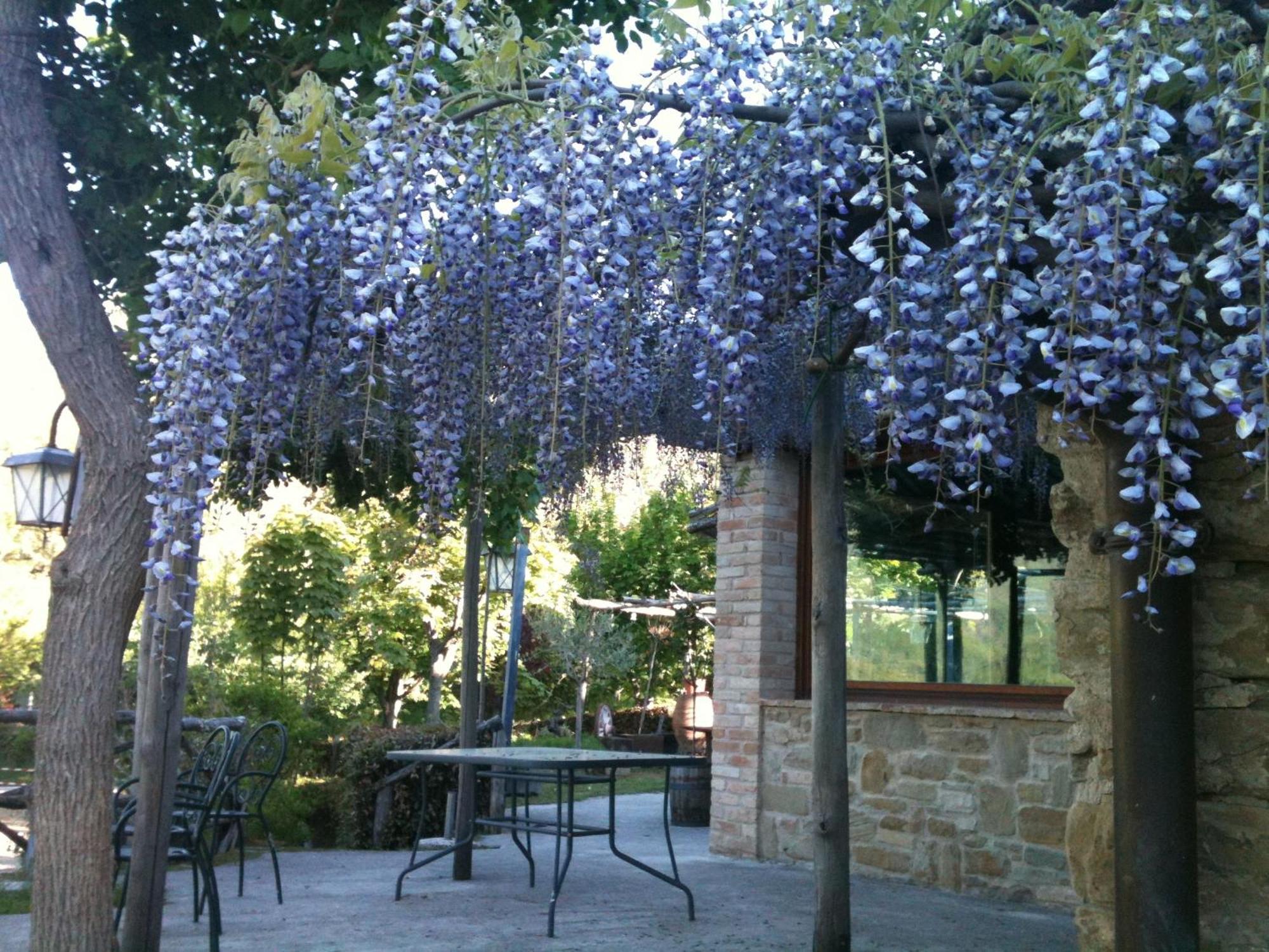 La Cittadella Dei Monti Sibillini Guest House Montemonaco Bagian luar foto