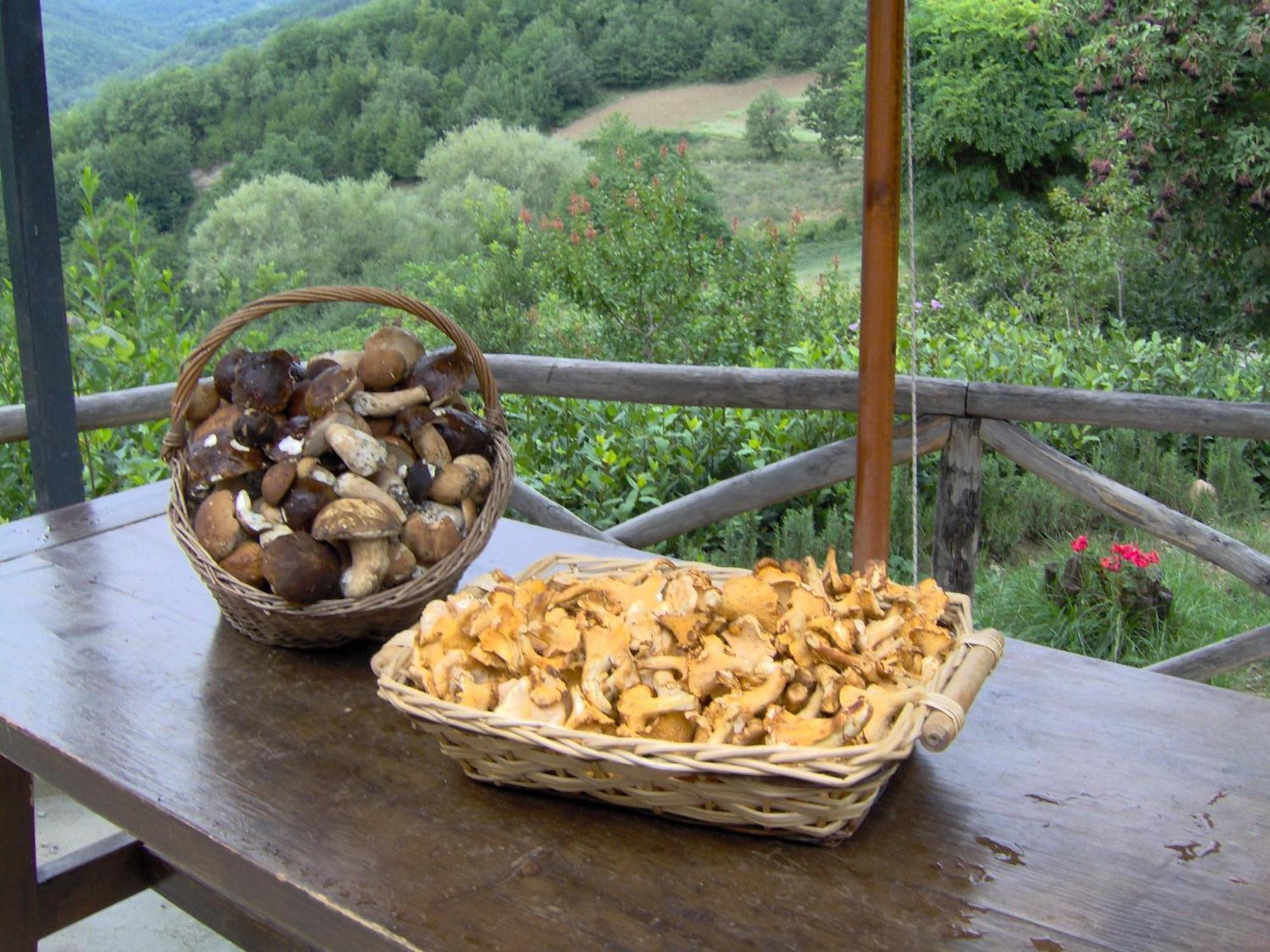 La Cittadella Dei Monti Sibillini Guest House Montemonaco Bagian luar foto