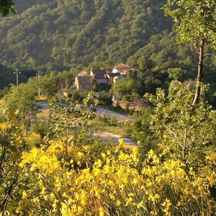 La Cittadella Dei Monti Sibillini Guest House Montemonaco Bagian luar foto