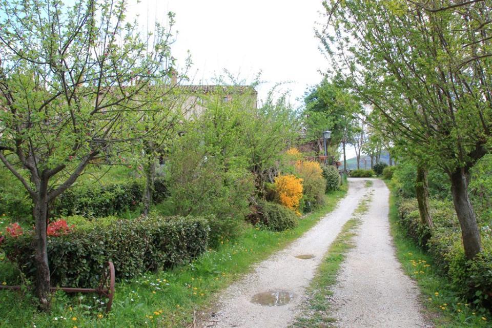 La Cittadella Dei Monti Sibillini Guest House Montemonaco Bagian luar foto